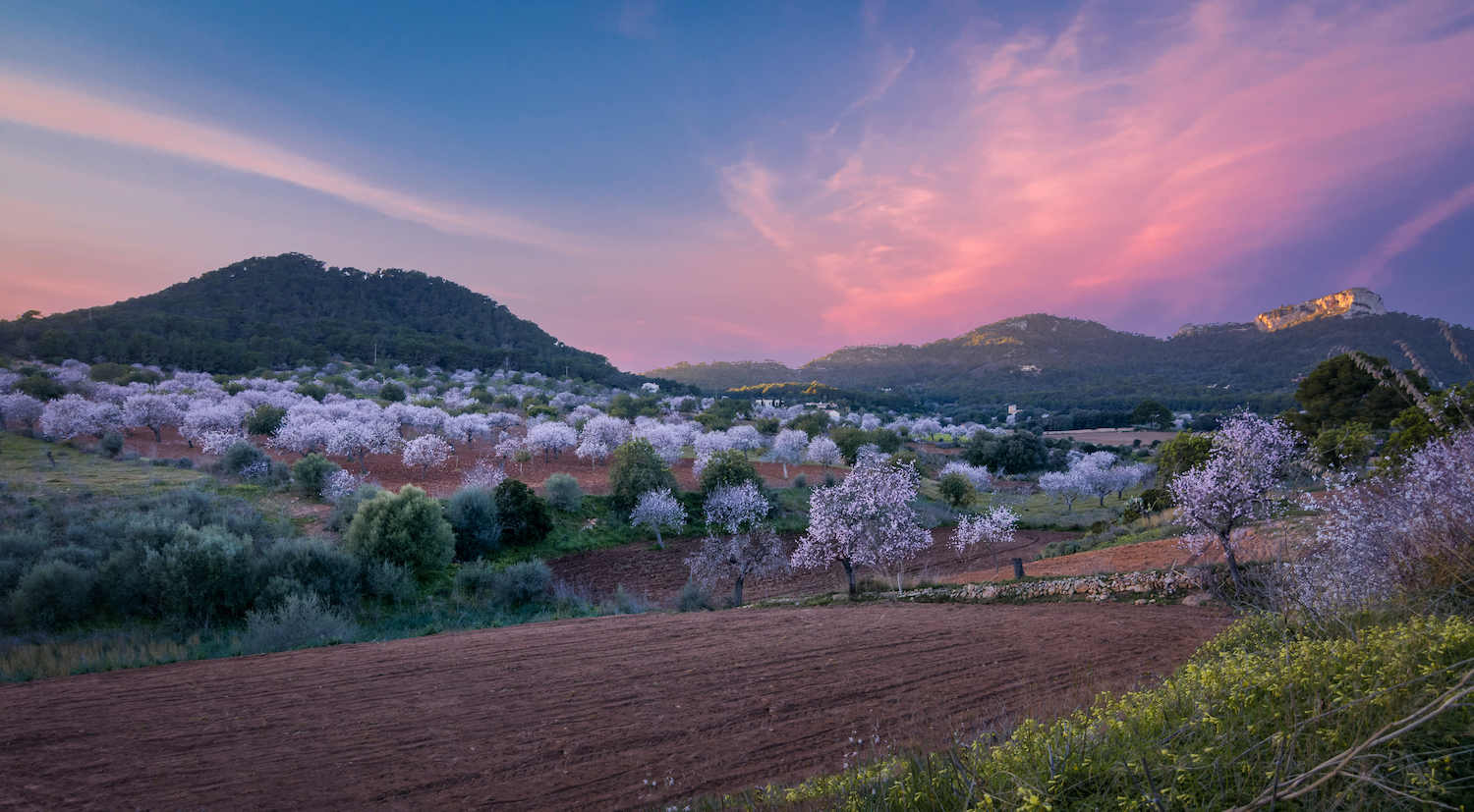 Experience Mallorca in Winter