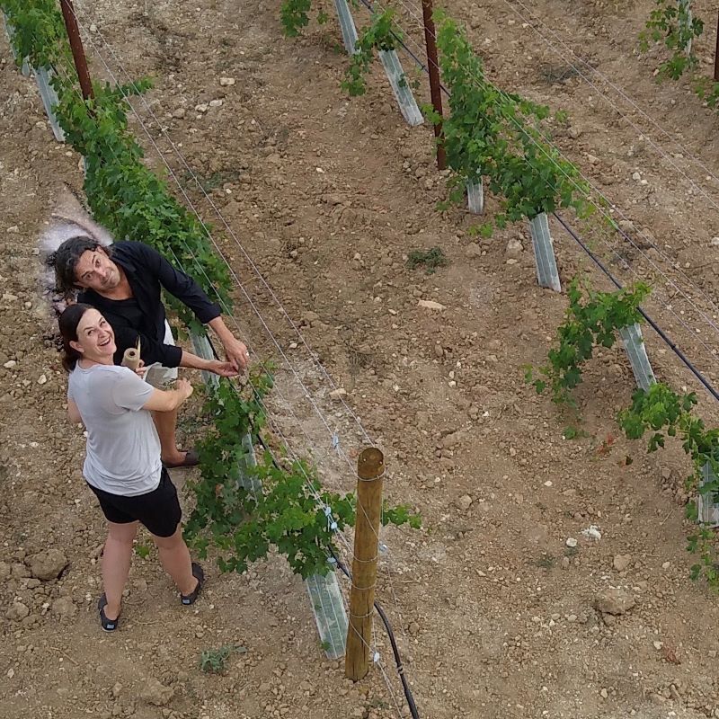 The couple Grahe finances their dream of being a winegrower in Mallorca with innovative ideas. Image: Alexandra and Sören Grahe
