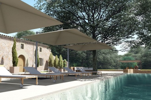 Pool and terrace 
