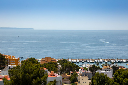 Fantastic panorama sea views