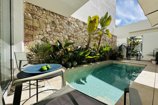 Patio and pool