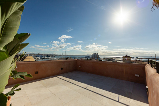 Rooftop terrace with harbour views