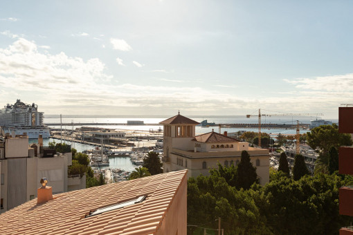 Amazing rooftop views