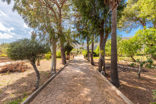 Entrance way to the house