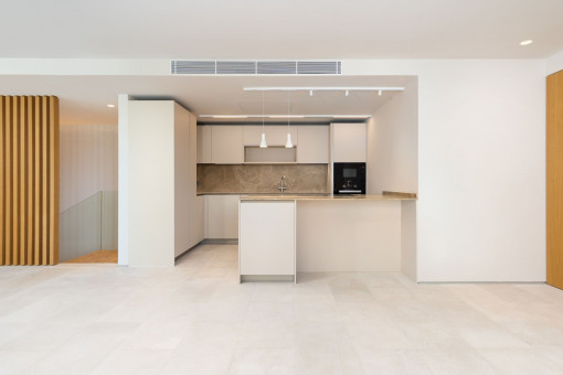 Modern kitchen