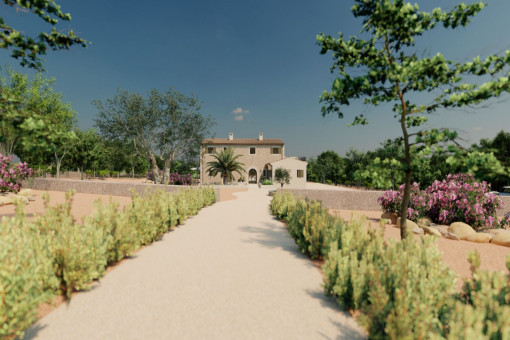 Mediterranean garden