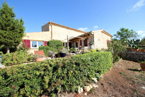 View to the finca