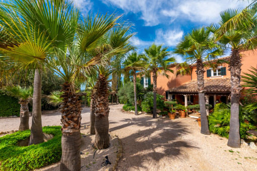 Main entrance area with palm trees