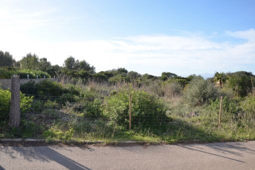 Street view of the plot