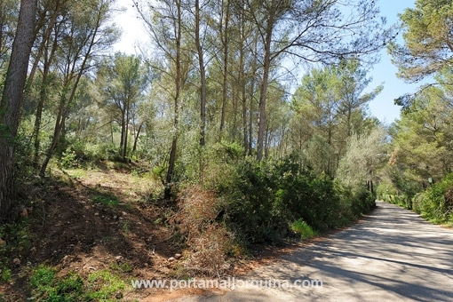 Son Vida: Property for sale in Son Vida by Porta Mallorquina Real Estate