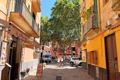 Beautiful Furnished Apartment In The Old Town Of Palma For Rent