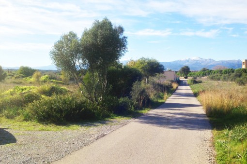 An overland route is the natural border between the plots