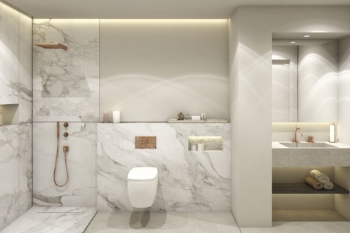 Luxurious bathroom