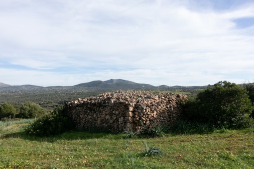 View of the plot