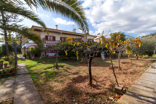 Garden with fruit trees