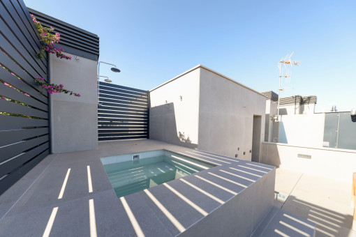 Private terrace with pool