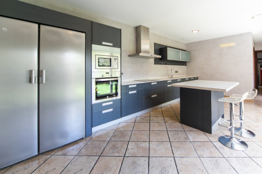 Modern kitchen with cooking island