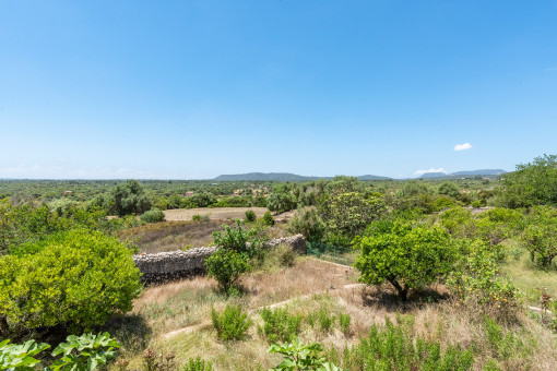 View from the finca