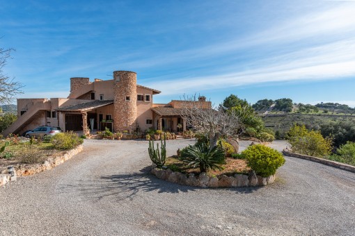 Driveway to the finca