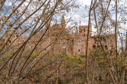 View to the cathedral