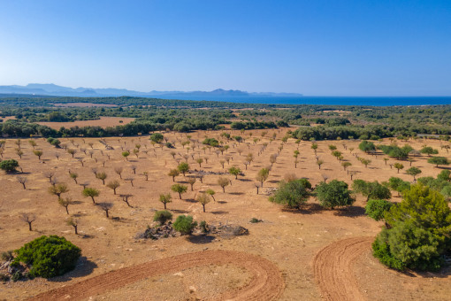 Alternative view of the plot