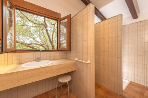 Shower bathroom with garden views