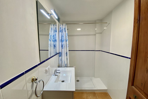 Small shower bathroom