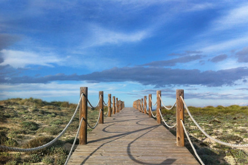 Wooden path leading to the sea