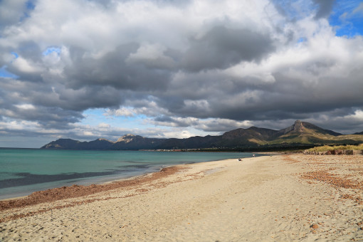 The beach nearby