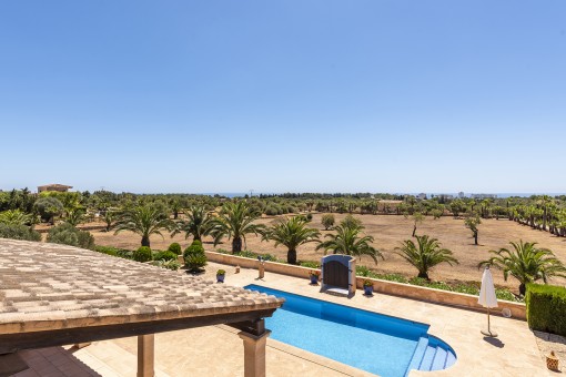 View to the pool and into the landscape