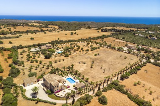 The finca property from a birds-eye view