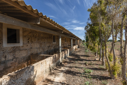 Exterior view of the property