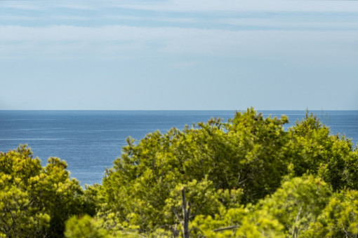 View to the sea