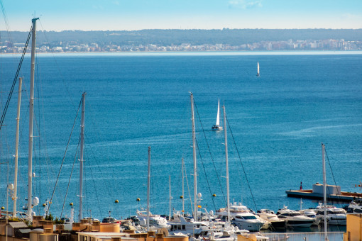 Town house with roof terrace with views to the cathedral of Palma