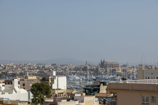 View to the cathedral from the roof top terrace