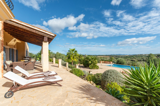 Sunny terrace with sun loungers