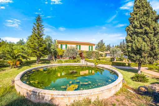 Wonderfully laid-out garden with ponds