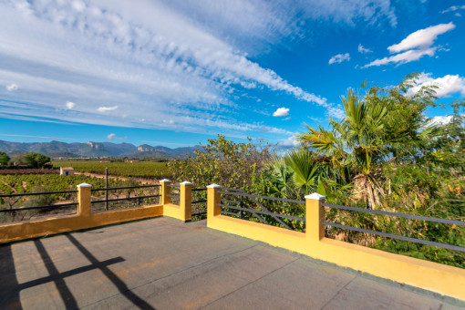 Rooftop terrace with views