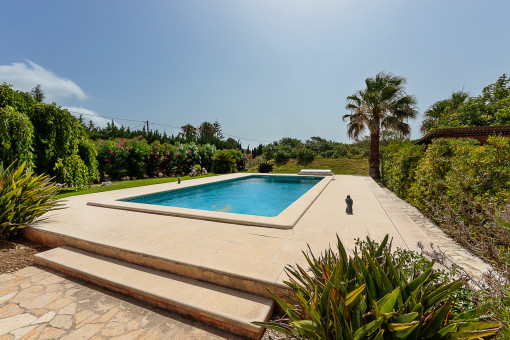 Terrace and pool