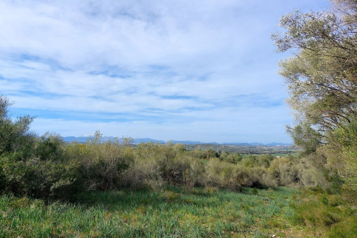 View of the property