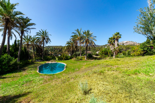 Garden and pool area