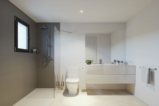 Modern bathrooms