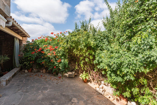 Adjoining outdoor terrace