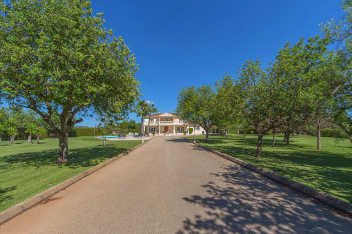 Driveway to the finca