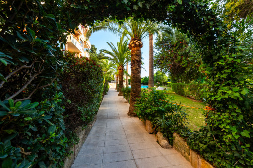 Communal garden