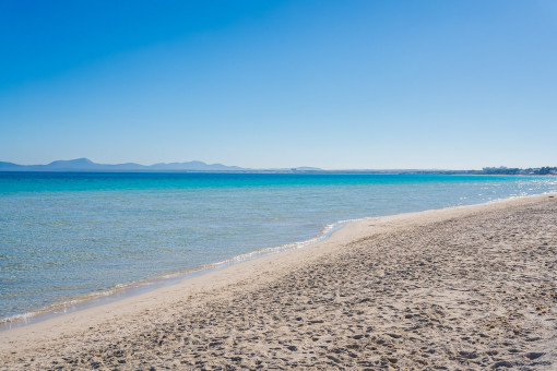 The very nice beach of Alcudia