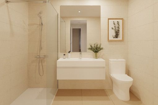 Modern bathrooms