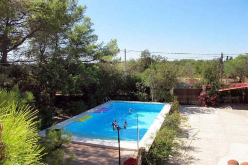 Garden with pool