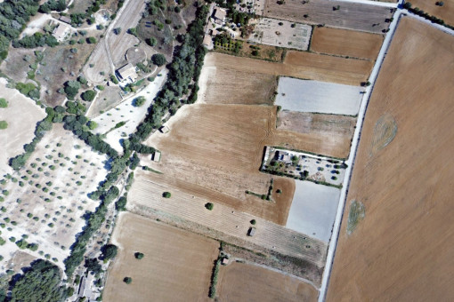 Aerial view of the plot