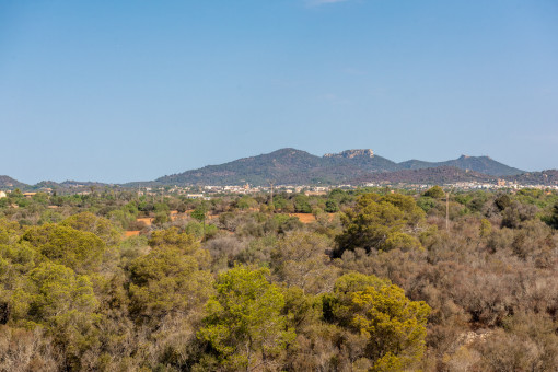 Views to Sant Salvador